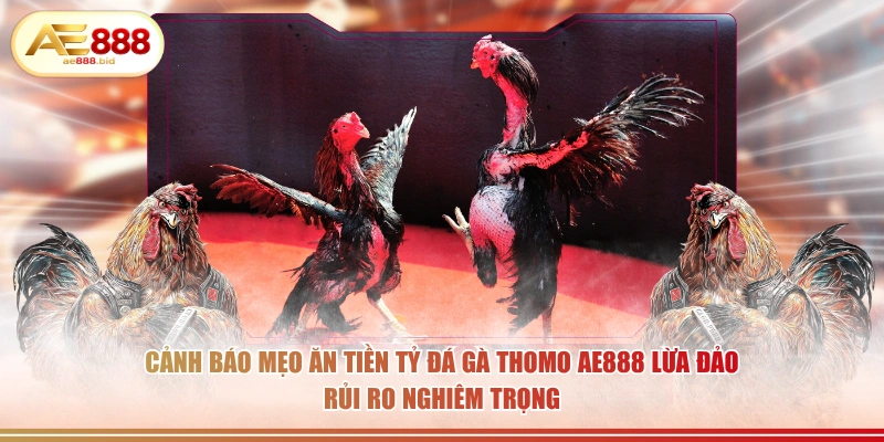 Mẹo Soi Kèo Đá Gà Thomo Từ Cao Thủ AE888 Chia Sẻ 3 Cảnh báo mẹo ăn tiền tỷ đá gà Thomo AE888 lừa đảo rủi ro nghiêm trọng.