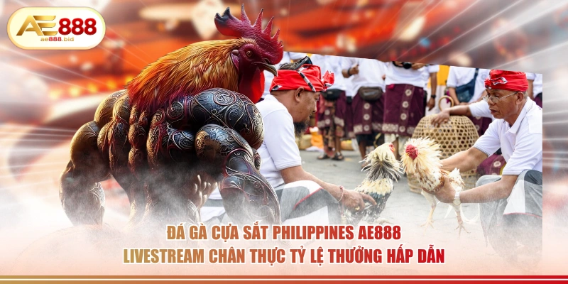 Đá gà cựa sắt Philippines AE888 livestream chân thực tỷ lệ thưởng hấp dẫn.