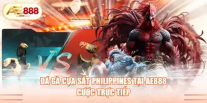 Đá gà cựa sắt Philippines tại AE888