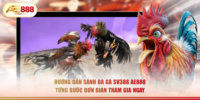 Hướng dẫn sảnh đá gà SV388 AE888 từng bước đơn giản tham gia ngay.