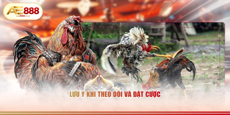 Ý Nghĩa Các Cửa Meron, Wala, BDD Trong Đá Gà AE888 4 Lưu ý khi theo dõi và đặt cược