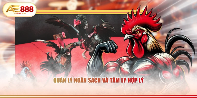 Mẹo Soi Kèo Đá Gà Thomo Từ Cao Thủ AE888 Chia Sẻ 4 Quản lý ngân sách và tâm lý hợp lý