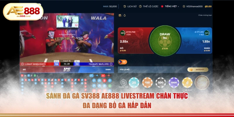 Sảnh đá gà SV388 AE888 livestream chân thực đa dạng bồ gà hấp dẫn.