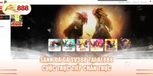 Sảnh đá gà SV388 tại AE888