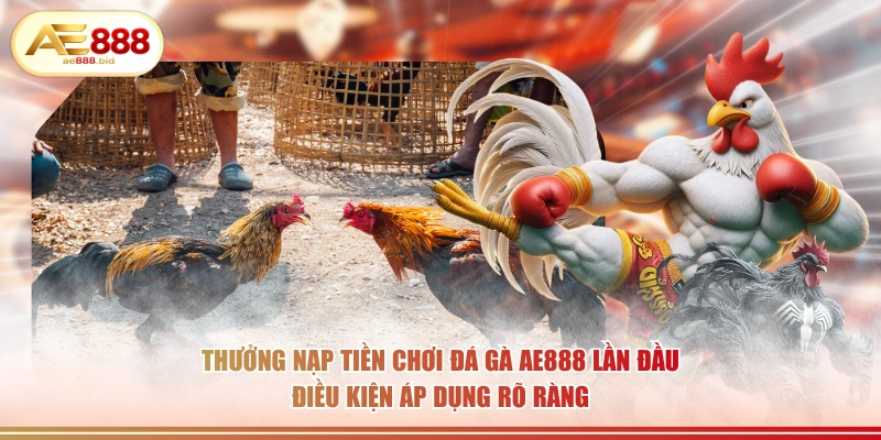 Thưởng nạp tiền chơi đá gà AE888 lần đầu điều kiện áp dụng rõ ràng.